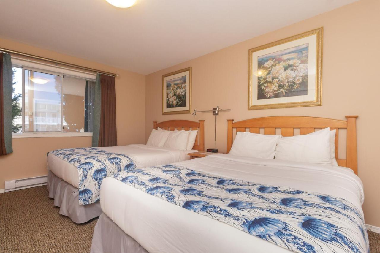 The Cedarwood Inn & Suites Сидней Экстерьер фото